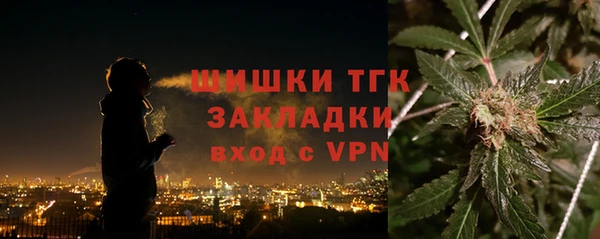 тгк Абаза