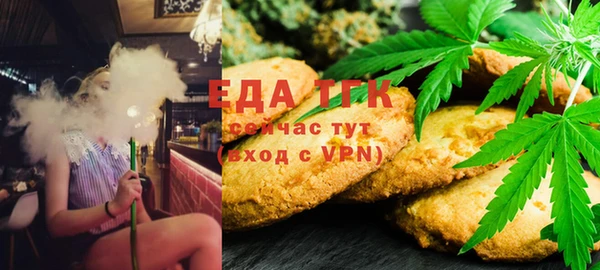 тгк Абаза