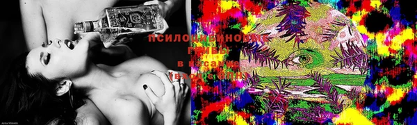 тгк Абаза