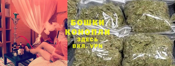 тгк Абаза