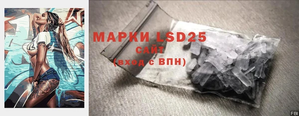 тгк Абаза