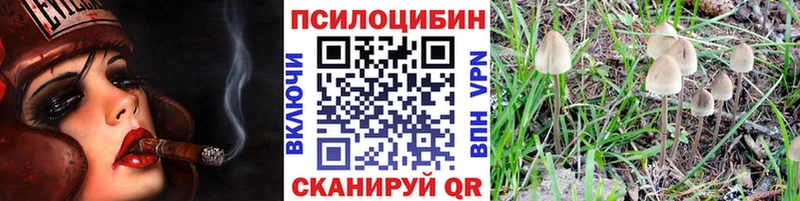 Псилоцибиновые грибы Psilocybine cubensis  Сальск 