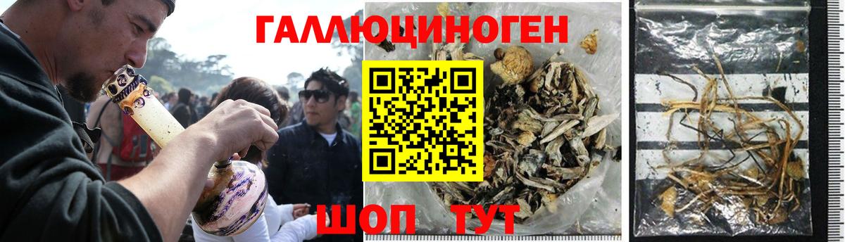 Псилоцибиновые грибы Magic Shrooms Сальск