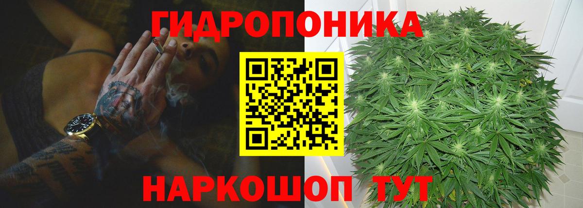 Шишки марихуана VHQ Сальск